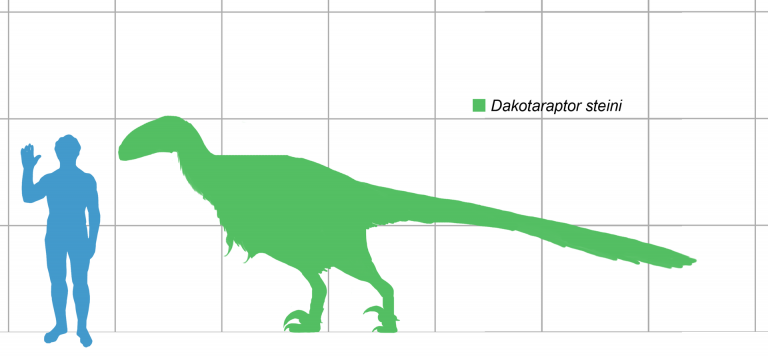 dakotaraptor-paleontology-world